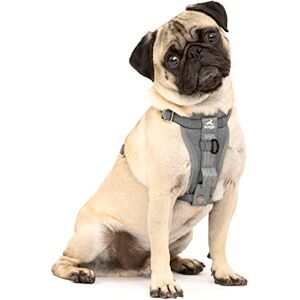 Kurgo , Enhanced Strength Tru-Fit Smart Harness for Dogs, Charcoal, Small Kurgo , Enhanced Strength Tru-Fit Smart Harness for Dogs, Charcoal, Small