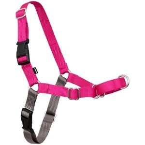 PetSafe Easy Walk No-Pull Dog Harness The Ultimate Harness to Help Stop Pulling Take Control & Teach Better Leash Manners Helps Prevent Pets Pulling on Walks, Small, Raspberry/Gray PetSafe Easy Walk No-Pull Dog Harness The Ultimate Harness to Help Stop Pulling Take Control & Teach Better Leash Manners Helps Prevent Pets Pulling on Walks, Small, Raspberry/Gray