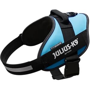 Julius-K9 Idc-Power Dog Harness - Aquamarine - Sporty Style Julius-K9 Idc-Power Dog Harness - Aquamarine - Sporty Style