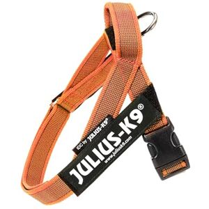 Julius-K9 , IDC Color & Gray Belt Harness, Size: XS/Mini-Mini, Orange-Gray Julius-K9 , IDC Color & Gray Belt Harness, Size: XS/Mini-Mini, Orange-Gray