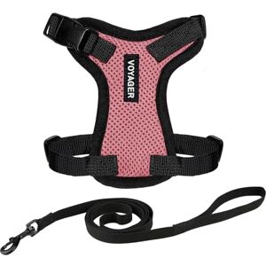 Best Pet Supplies Cat Harness XXS - Pink/Black - 1.5m Best Pet Supplies Cat Harness XXS - Pink/Black - 1.5m