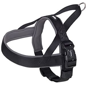 Nobby Classic Preno Norwegian Harness, 38-50 cm+36 cm/20-25 mm, Black/Gray Nobby Classic Preno Norwegian Harness, 38-50 cm+36 cm/20-25 mm, Black/Gray
