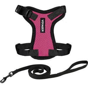 Best Pet Supplies Fuchsia/Black Cat Harness and Leash - Small - 5ft Best Pet Supplies Fuchsia/Black Cat Harness and Leash - Small - 5ft