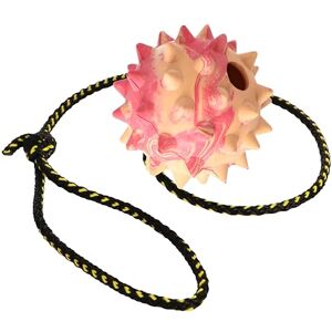 Dingo Waldemar Rutkowski DINGO Spiky Dog Ball Fully Rubber-Filled, with 60 cm Long Rope Suitable for Fetching, Dog Sports, Agility, Playtime Large Size Random Colour (17323-2) Dingo Waldemar Rutkowski DINGO Spiky Dog Ball Fully Rubber-Filled, with 60 cm Long Rope Suitable for Fetching, Dog Sports, Agility, Playtime Large Size Random Colour (17323-2)