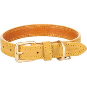 Flamingo Dog Collar Virginia Yellow S/M 31-39cm 20mm Flamingo Dog Collar Virginia Yellow S/M 31-39cm 20mm