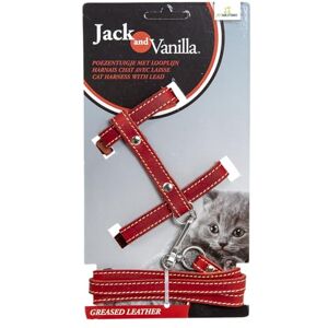 JACK AND VANILLA , Leather Cat Harness with Red Lead, Custom Fit, Stylish Design, Optimal Comfort, Maximum Safety, Size 10 mm, Red, Fat Leather Model JACK AND VANILLA , Leather Cat Harness with Red Lead, Custom Fit, Stylish Design, Optimal Comfort, Maximum Safety, Size 10 mm, Red, Fat Leather Model