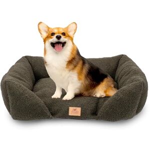 Ferplast Dog Bed Cushion for Medium-Sized Dogs, Cat Bed, Washable Synthetic Bouclé Fabric, Soft Padding, 66 x 50 x 20 cm. Green Ferplast Dog Bed Cushion for Medium-Sized Dogs, Cat Bed, Washable Synthetic Bouclé Fabric, Soft Padding, 66 x 50 x 20 cm. Green