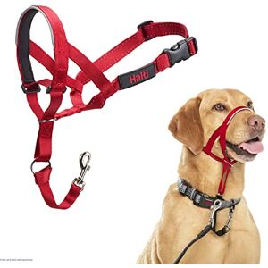 Company of Animals HALTI Headcollar Size 3 Red, UK Bestselling Dog Head Harness to Stop Pulling on the Lead, Easy to Use, Padded Nose Band, Adjustable & Reflective, Professional Anti-Pull Training Aid for Medium Dogs Company of Animals HALTI Headcollar Size 3 Red, UK Bestselling Dog Head Harness to Stop Pulling on the Lead, Easy to Use, Padded Nose Band, Adjustable & Reflective, Professional Anti-Pull Training Aid for Medium Dogs