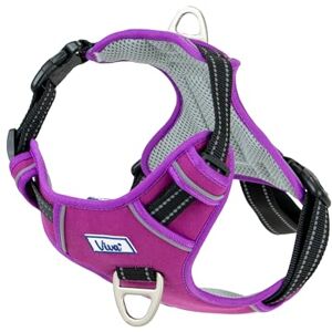 Ancol Viva Exercise and Travel Dog Harness in Purple Comfortable Pet Accessory with Padded Chest and 2 Leash Clips Small 35-45cm Ancol Viva Exercise and Travel Dog Harness in Purple Comfortable Pet Accessory with Padded Chest and 2 Leash Clips Small 35-45cm