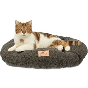 Ferplast Dog Bed Cushion for Small Dogs, Cat Bed, Washable Synthetic Bouclé Fabric, Soft Padding, 55 x 36 xh 3 cm. Green Ferplast Dog Bed Cushion for Small Dogs, Cat Bed, Washable Synthetic Bouclé Fabric, Soft Padding, 55 x 36 xh 3 cm. Green