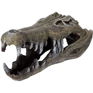 Blue Ribbon Rosewood Nile Crocodile Skull Aquarium Decor, Large,gray Blue Ribbon Rosewood Nile Crocodile Skull Aquarium Decor, Large,gray
