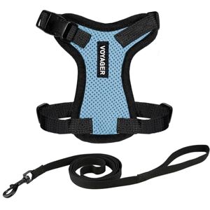 Best Pet Supplies Voyager XXS Cat Harness and Leash - Small, Reflective, Neoprene Handle Best Pet Supplies Voyager XXS Cat Harness and Leash - Small, Reflective, Neoprene Handle