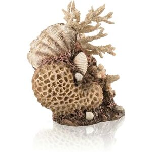 biOrb Fish Tank Decorations, Sea Shell Aquarium Ornament (Natural Colour), Beautifully Detailed Artificial Fish Tank Accessories To Add Colour, Natural-Looking Aquarium Decor For Scenic Background biOrb Fish Tank Decorations, Sea Shell Aquarium Ornament (Natural Colour), Beautifully Detailed Artificial Fish Tank Accessories To Add Colour, Natural-Looking Aquarium Decor For Scenic Background