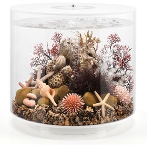 biOrb TUBE 35 Acrylic Aquarium, White, Standard White LED Lighting, 360-Degree View, 5-Step Filtration System, Easy Setup, Includes Air Pump, Filter Cartridge, Ceramic Media, 35 Litre Fish Tank biOrb TUBE 35 Acrylic Aquarium, White, Standard White LED Lighting, 360-Degree View, 5-Step Filtration System, Easy Setup, Includes Air Pump, Filter Cartridge, Ceramic Media, 35 Litre Fish Tank