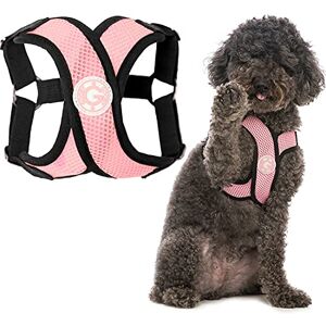 Gooby Comfort X Step-In Dog Harness - Small - Pink - Dog Harness Gooby Comfort X Step-In Dog Harness - Small - Pink - Dog Harness