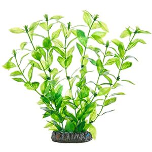Hobby Hygrophila Artificial Aquarium Plant, 11.8 x 10.2 x 15.8 cm, Green, 1 Count, Plastic, Potted, Naturalistic, Plant Hobby Hygrophila Artificial Aquarium Plant, 11.8 x 10.2 x 15.8 cm, Green, 1 Count, Plastic, Potted, Naturalistic, Plant