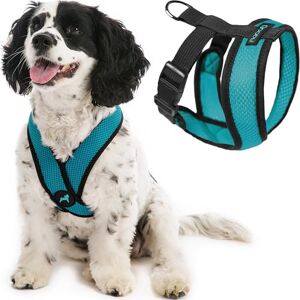 Gooby Comfort X Head in Harness - Turquoise - Small Dog Harness - No Pull - Medium Dogs - Indoor and Outdoor Gooby Comfort X Head in Harness - Turquoise - Small Dog Harness - No Pull - Medium Dogs - Indoor and Outdoor