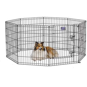 MidWest Homes for Pets Folding Metal Dog Exercise Pen and Pet Playpen with Door, Includes Grounding Stakes and Provides 1.5 Meters of Play Space, 76 cm Tall, Black E-Coated, 552-30DR MidWest Homes for Pets Folding Metal Dog Exercise Pen and Pet Playpen with Door, Includes Grounding Stakes and Provides 1.5 Meters of Play Space, 76 cm Tall, Black E-Coated, 552-30DR