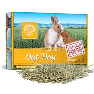 SMALL PET SELECT – Oat Hay Pet Food, 2lb (.91kg) Box High-Fiber, Aromatic Hay for Rabbits, Guinea Pigs & Small Pets Easy-to-Store Packaging SMALL PET SELECT – Oat Hay Pet Food, 2lb (.91kg) Box High-Fiber, Aromatic Hay for Rabbits, Guinea Pigs & Small Pets Easy-to-Store Packaging