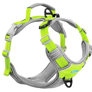 ThinkPet No Pull Harness Breathable Sport Harness with Handle-Dog Harnesses Reflective Adjustable for Medium Large Dogs,Back/Front Clip for Easy Control S Bright Green ThinkPet No Pull Harness Breathable Sport Harness with Handle-Dog Harnesses Reflective Adjustable for Medium Large Dogs,Back/Front Clip for Easy Control S Bright Green