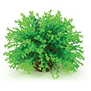 biOrb Fish Tank Decorations, Aquatic Flower Ball With Weighted Ball (1 x Green Aquarium Plant), Beautiful Artificial Fish Tank Plant To Add Colour, Natural-Looking Aquarium Decor For Scenic Background biOrb Fish Tank Decorations, Aquatic Flower Ball With Weighted Ball (1 x Green Aquarium Plant), Beautiful Artificial Fish Tank Plant To Add Colour, Natural-Looking Aquarium Decor For Scenic Background