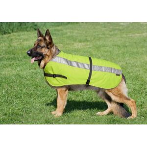 Flectalon Petlife Hi-Vis Dog Jacket Complete with Thermal Lining, 24-inch, Fluorescent Yellow Flectalon Petlife Hi-Vis Dog Jacket Complete with Thermal Lining, 24-inch, Fluorescent Yellow
