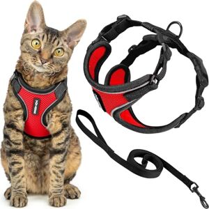 Best Pet Supplies Voyager Escape Proof Cat Harness and Leash Set with Reflective Stitching, Neoprene Handle 5ft Supports Small, Medium and Large Cats, Kittens for Walking by Black Trim-Red, XXXS Best Pet Supplies Voyager Escape Proof Cat Harness and Leash Set with Reflective Stitching, Neoprene Handle 5ft Supports Small, Medium and Large Cats, Kittens for Walking by Black Trim-Red, XXXS