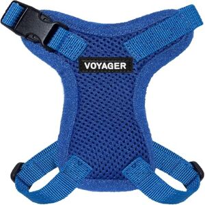 Best Pet Supplies Royal Blue Cat Harness and Leash - XXS - 5ft Best Pet Supplies Royal Blue Cat Harness and Leash - XXS - 5ft