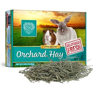 SMALL PET SELECT Orchard Grass Hay Pet Food for Rabbits, Guinea Pigs, Chinchillas and Other Small Animals, Premium Natural Hay Grown in The US, 10lb (4.54kg) SMALL PET SELECT Orchard Grass Hay Pet Food for Rabbits, Guinea Pigs, Chinchillas and Other Small Animals, Premium Natural Hay Grown in The US, 10lb (4.54kg)