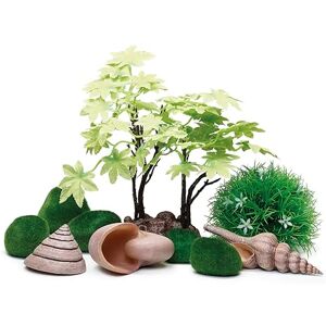 biOrb Decor Set, Summer Theme Green Maple Tree, Flower Ball & Sea Shell Ornaments for 15 L+ Aquariums, Easy-Insert Decoration Compatible with Fresh & Saltwater Tanks, Perfect Fish Tank Decorations biOrb Decor Set, Summer Theme Green Maple Tree, Flower Ball & Sea Shell Ornaments for 15 L+ Aquariums, Easy-Insert Decoration Compatible with Fresh & Saltwater Tanks, Perfect Fish Tank Decorations