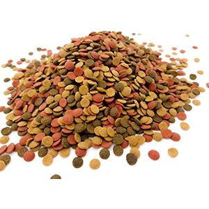 HERONS Mini Wafer Mix 5 mm Sinking Wafers with Spirulina For All Bottom Feeding Fish Rich in Vitamin C and Fiber Immune Support Enhance Colour and Improves Digestion 1000 Grams HERONS Mini Wafer Mix 5 mm Sinking Wafers with Spirulina For All Bottom Feeding Fish Rich in Vitamin C and Fiber Immune Support Enhance Colour and Improves Digestion 1000 Grams