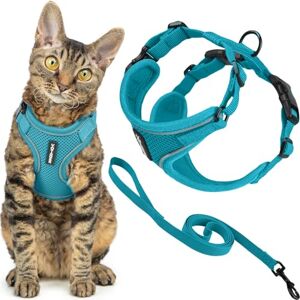 Best Pet Supplies Voyager Escape Proof Cat Harness and Leash Set with Reflective Stitching, Neoprene Handle 5ft Supports Small, Medium and Large Cats, Kittens for Walking by Turquoise, XXS Best Pet Supplies Voyager Escape Proof Cat Harness and Leash Set with Reflective Stitching, Neoprene Handle 5ft Supports Small, Medium and Large Cats, Kittens for Walking by Turquoise, XXS