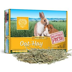 SMALL PET SELECT – Oat Hay Pet Food, 10lb (4.54kg) Box High-Fiber, Aromatic Hay for Rabbits, Guinea Pigs & Small Pets Easy-to-Store Packaging SMALL PET SELECT – Oat Hay Pet Food, 10lb (4.54kg) Box High-Fiber, Aromatic Hay for Rabbits, Guinea Pigs & Small Pets Easy-to-Store Packaging