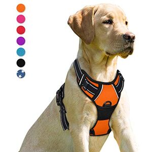 BARKBAY Dog Harness No-Pull Pet Harness Adjustable Outdoor Pet Vest Front Clip Heavy Duty 3M Reflective Oxford Material Vest for Dogs Easy Control for Small Medium Large(Orange,M) Dogs(Orange,M) BARKBAY Dog Harness No-Pull Pet Harness Adjustable Outdoor Pet Vest Front Clip Heavy Duty 3M Reflective Oxford Material Vest for Dogs Easy Control for Small Medium Large(Orange,M) Dogs(Orange,M)