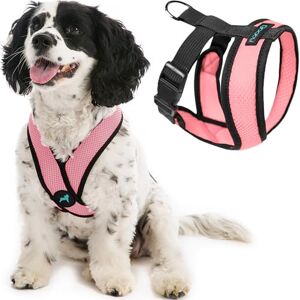 GOOBY Choke Free Comfort X Soft Dog Harness, Medium, Pink GOOBY Choke Free Comfort X Soft Dog Harness, Medium, Pink