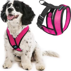 Gooby Comfort X Head In Harness - Flamingo Pink - Small Dog Harness - No Pull Small Dog Harness - Medium Dogs - Indoor and Outdoor Use Gooby Comfort X Head In Harness - Flamingo Pink - Small Dog Harness - No Pull Small Dog Harness - Medium Dogs - Indoor and Outdoor Use