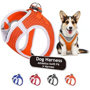 KRUZ PET KZA308-08L Reflective V-Neck Step in Mesh Dog Harness No Pull, Quick Fit, Comfortable, Velcro-Adjustable Pet Harnesses for Walking & Training Small, Medium Dogs Orange,Large KRUZ PET KZA308-08L Reflective V-Neck Step in Mesh Dog Harness No Pull, Quick Fit, Comfortable, Velcro-Adjustable Pet Harnesses for Walking & Training Small, Medium Dogs Orange,Large