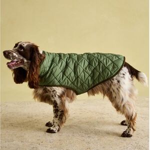 Rosewood x Joules Khaki Quilted Coat for Dogs, Large, Washable, Lightweight, Warm Winter Dog Jacket for Large Dogs Rosewood x Joules Khaki Quilted Coat for Dogs, Large, Washable, Lightweight, Warm Winter Dog Jacket for Large Dogs