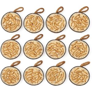 Garden Ting Mealworm Suet Coconut Halves Wild Bird Treat, 12 Pack Garden Ting Mealworm Suet Coconut Halves Wild Bird Treat, 12 Pack