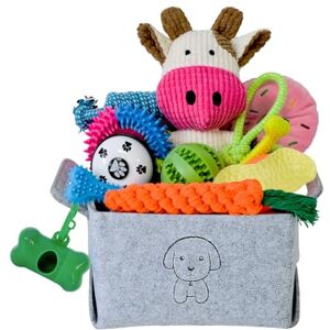 MRSOHRET 20Pcs Puppy Chew Toys for Teething, Dog Chew Toys with Rope Toys, Pet Dog Toothbrush, Treat Balls, Dog Plush Toys and Squeaky Toys for Small Medium Dogs, Cute Dog Toy Basket, Box and Bin MRSOHRET 20Pcs Puppy Chew Toys for Teething, Dog Chew Toys with Rope Toys, Pet Dog Toothbrush, Treat Balls, Dog Plush Toys and Squeaky Toys for Small Medium Dogs, Cute Dog Toy Basket, Box and Bin