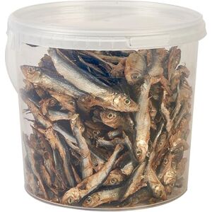 Hungry Pets Premium Fish Sprats, Dog & Cat Treat, 2.5L Hungry Pets Premium Fish Sprats, Dog & Cat Treat, 2.5L