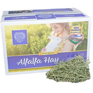 SMALL PET SELECT Alfalfa Hay Pet Food for Young Rabbits, Guinea Pigs, Chinchillas, Tortoises and Other Small Animals, Easy to Store Box, 40lb (18kg) SMALL PET SELECT Alfalfa Hay Pet Food for Young Rabbits, Guinea Pigs, Chinchillas, Tortoises and Other Small Animals, Easy to Store Box, 40lb (18kg)
