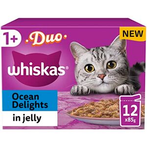 whiskas Tasty Duo 1+ Ocean Delight in Jelly 48 x 85 g Pouches, Adult Cat Food, Pack of 4 (12 x 85 g) whiskas Tasty Duo 1+ Ocean Delight in Jelly 48 x 85 g Pouches, Adult Cat Food, Pack of 4 (12 x 85 g)