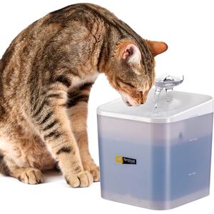 Ferplast cat water fountain for Drinking ARES, 2L Cat Water Fountain, Dog Water Fountain, Super Silent Pump, Three-Stage Filter, LED, Power Adapter Included Ferplast cat water fountain for Drinking ARES, 2L Cat Water Fountain, Dog Water Fountain, Super Silent Pump, Three-Stage Filter, LED, Power Adapter Included