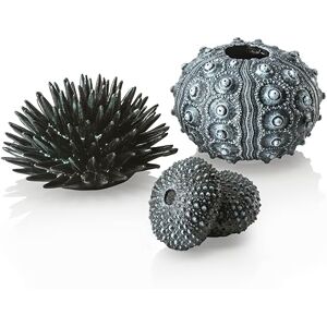biOrb Fish Tank Decorations, Sea Urchin Aquarium Ornament Set (3 x Black), Beautiful Detailed Artificial Fish Tank Accessories To Add Colour, Natural-Looking Aquarium Decor For Scenic Background biOrb Fish Tank Decorations, Sea Urchin Aquarium Ornament Set (3 x Black), Beautiful Detailed Artificial Fish Tank Accessories To Add Colour, Natural-Looking Aquarium Decor For Scenic Background