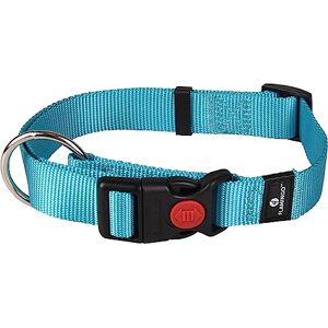 Flamingo Dog Collar Ziggi Turquoise L 45-65cm 25mm Flamingo Dog Collar Ziggi Turquoise L 45-65cm 25mm
