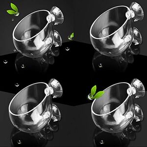 capetsma 4X Crystal Glass Aquarium Plant Pot, Aquarium Aquatic Planter, Red Shrimp Live Plants Fish Tank Glass Holder with 4X Suction Cups for Aquarium Fish Tank Decorations … (4 Pack)… capetsma 4X Crystal Glass Aquarium Plant Pot, Aquarium Aquatic Planter, Red Shrimp Live Plants Fish Tank Glass Holder with 4X Suction Cups for Aquarium Fish Tank Decorations … (4 Pack)…