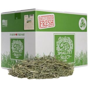 SMALL PET SELECT 1st Cut Timothy Hay Pet Food for Rabbits, Guinea Pigs, and Other Small Animals, Easy to Store Box, 20Lb (9.07kg) SMALL PET SELECT 1st Cut Timothy Hay Pet Food for Rabbits, Guinea Pigs, and Other Small Animals, Easy to Store Box, 20Lb (9.07kg)