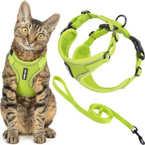 Best Pet Supplies Voyager Escape Proof Cat Harness and Leash Set with Reflective Stitching, Neoprene Handle 5ft Supports Small, Medium and Large Cats, Kittens for Walking by Lime, S Best Pet Supplies Voyager Escape Proof Cat Harness and Leash Set with Reflective Stitching, Neoprene Handle 5ft Supports Small, Medium and Large Cats, Kittens for Walking by Lime, S