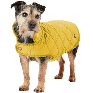 Rosewood x Joules Antique Gold Quilted Coat for Dogs, Large, Washable, Lightweight, Warm Winter Dog Jacket for Large Dogs Rosewood x Joules Antique Gold Quilted Coat for Dogs, Large, Washable, Lightweight, Warm Winter Dog Jacket for Large Dogs